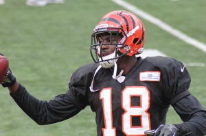 AJ Green and the Bengals went out this weekend in the first round of the NFL Playoffs. By Navin75 (Flickr: WR AJ Green) [CC-BY-SA-2.0 (http://creativecommons.org/licenses/by-sa/2.0)], via Wikimedia Commons