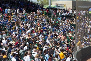 There are no bad seats at spring training, especially if you're trying to get your tan on. By Owen Main