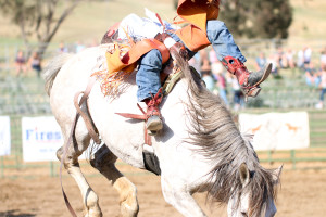 I saw the horse roughstock competition, but missed the bulls. That'll be a goal for next year. By Owen Main