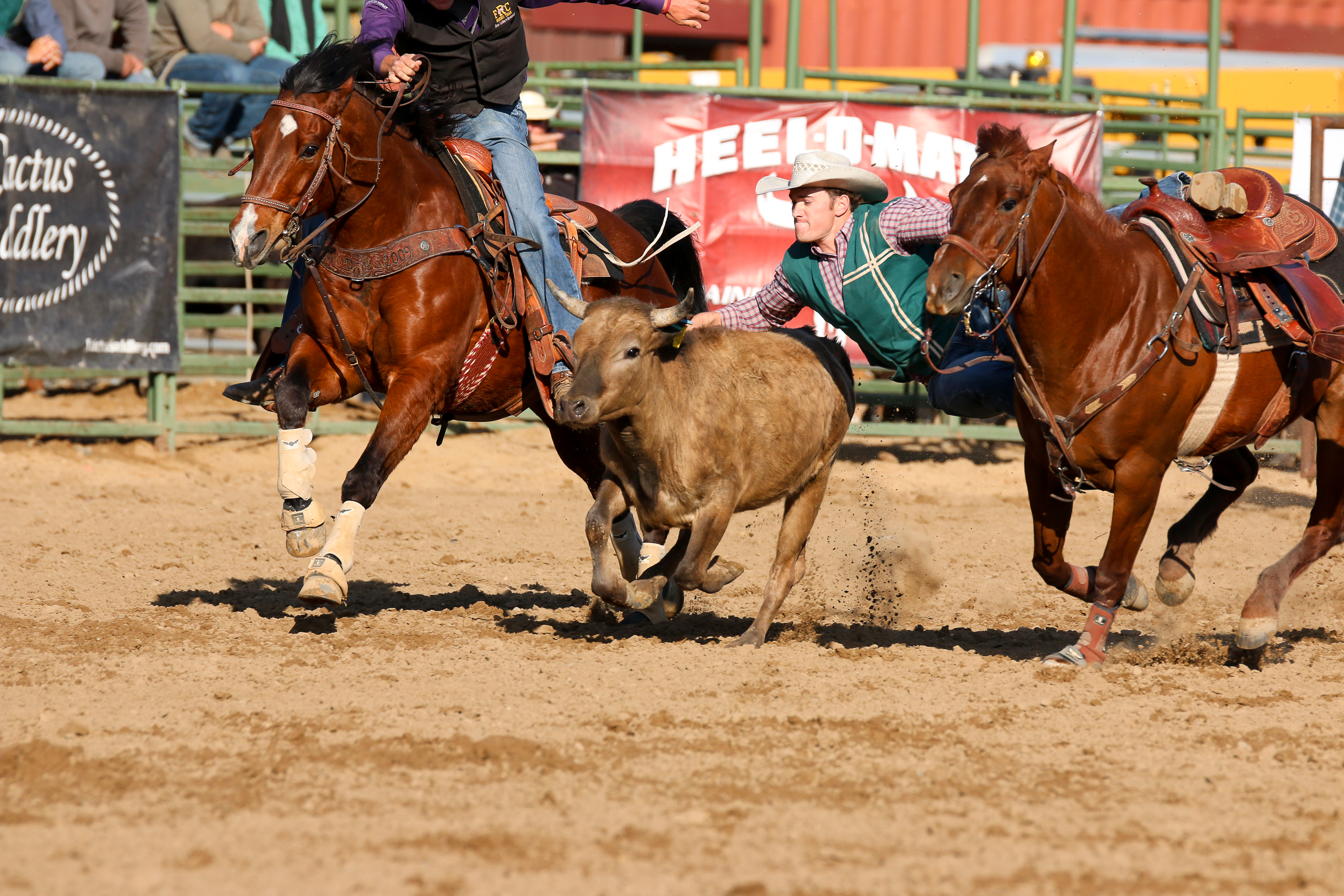 Poly Royal Rodeo Good Times On A Saturday Night Fansmanship