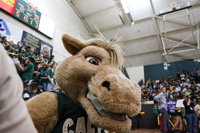 2014-03-08-calpolymbbvsucsb-34